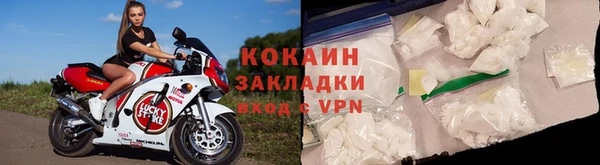 прущие грибы Абдулино