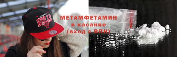 прущие грибы Абдулино