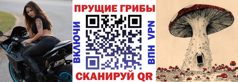 Псилоцибиновые грибы GOLDEN TEACHER  kraken вход  Калач 